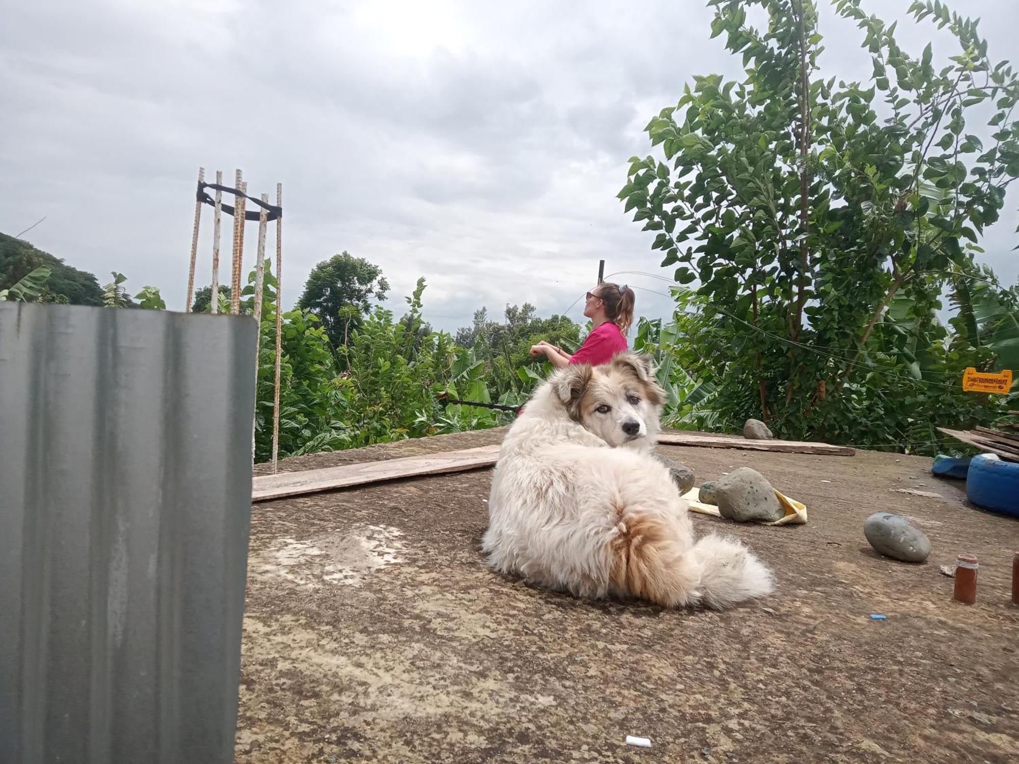 First Point Arusha Hostel Ngoại thất bức ảnh